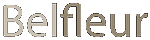 Logo Belfleurafda